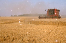 services for agriculture