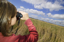 Proseed Consulting Rural tourism expertise